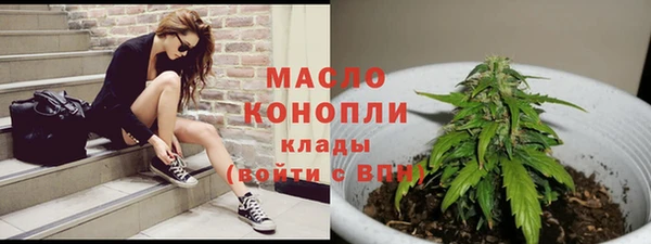стаф Новокубанск