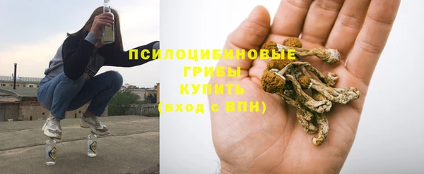 MDMA Premium VHQ Новозыбков
