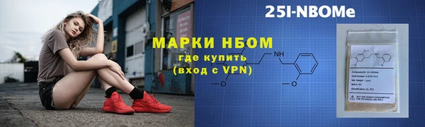 стаф Новокубанск