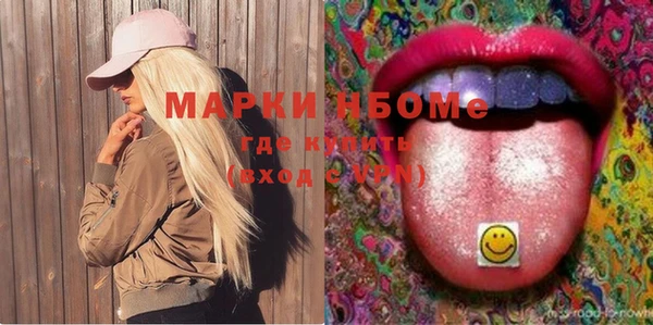 стаф Новокубанск