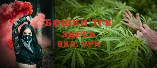 стаф Новокубанск