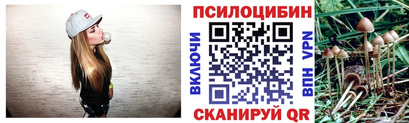 Купить закладки  Зеленогорск  Галлюциногенные грибы Magic Shrooms 